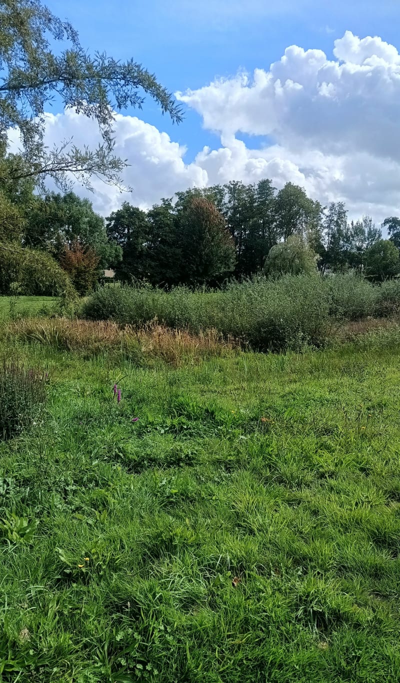Tour d'Argentré-du-Plessis et Launay - Argentré-du-Plessis