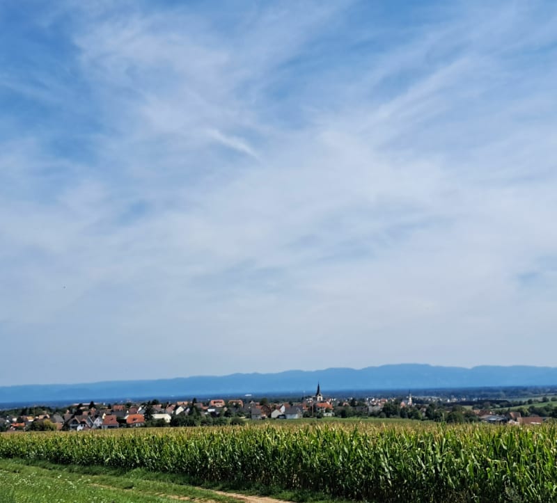 Magnifiques vues en partant d'Haguenau - Haguenau