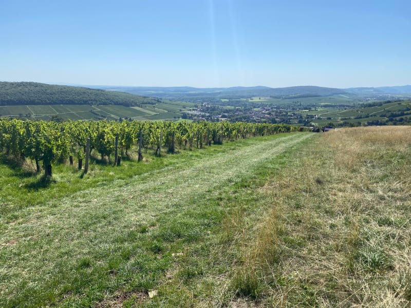 Autour d Azé - Azé