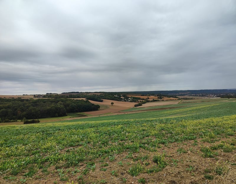 Balade à Magnanville - Magnanville