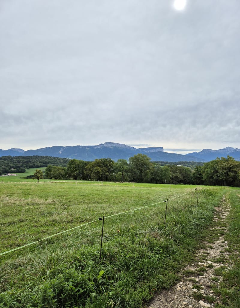 Entre forêt, champs et rivière à Cuvat - Allonzier-la-Caille