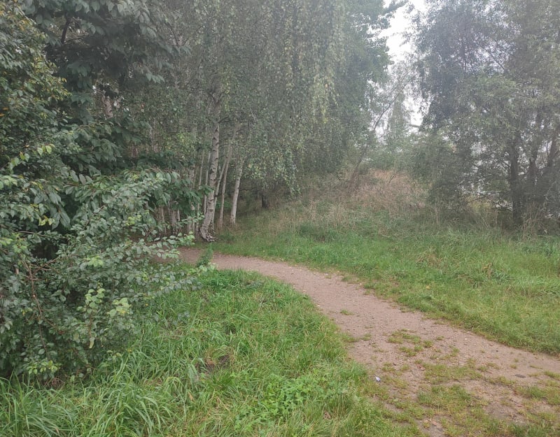 Spacer po Jasieniu - Gdańsk