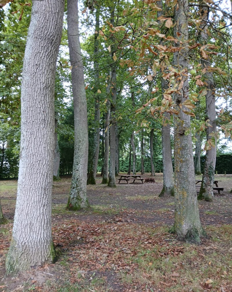 Balade vélo autour de Contres - Le Controis-en-Sologne