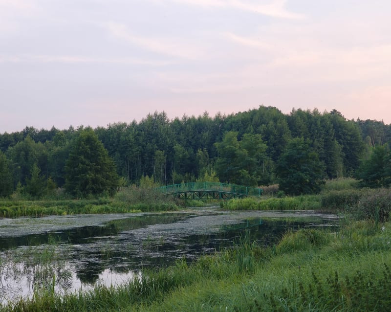 Szalona jazda po wywiadówce - Zielona Góra