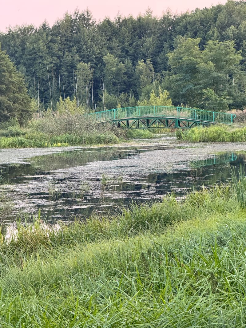 Zdrowo- rowerowo - Zielona Góra