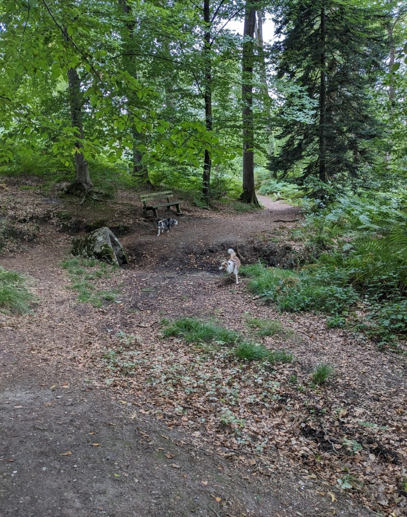 Le Gué l'Evêque, et sentier des Sources - Montereau