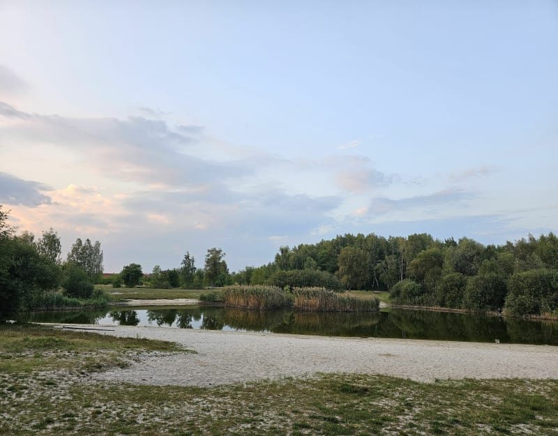 Las Lublinek - Łódź