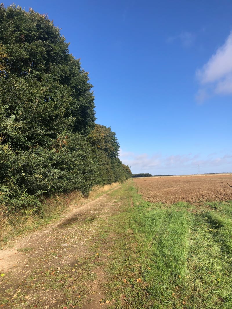 Piste de Jersey, par Bois de Louye - Croth