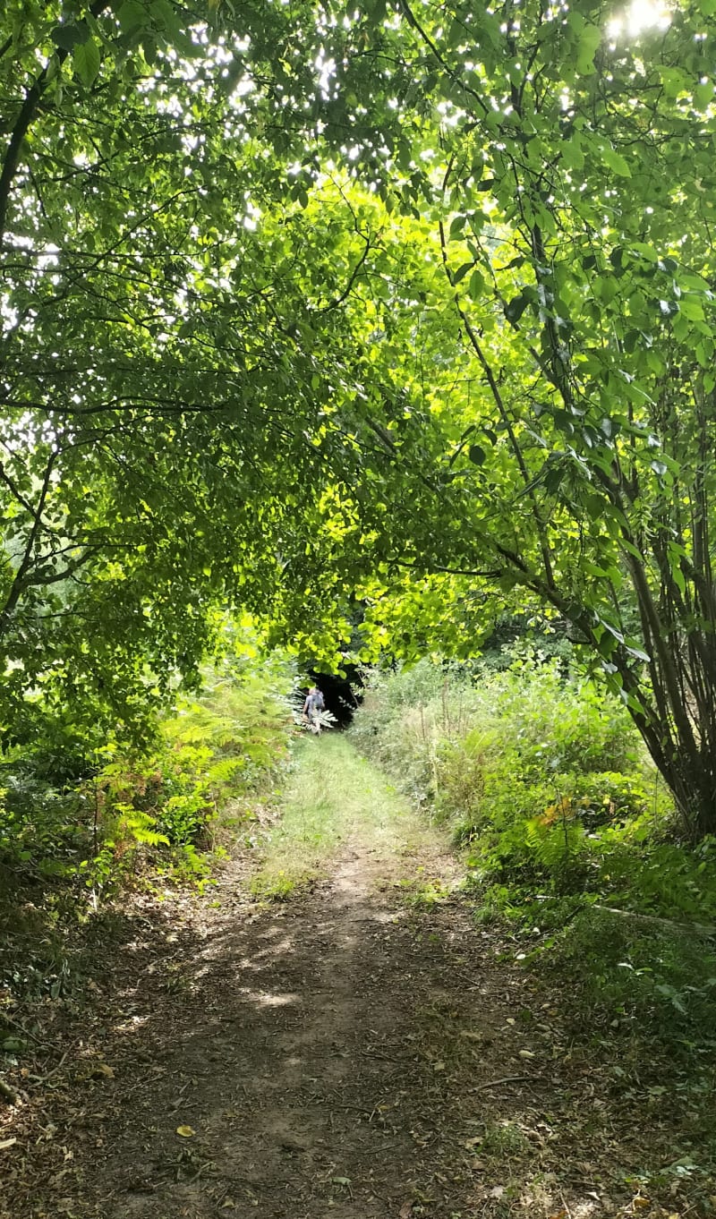 Chemin des fameuses au départ de Saint Christophe sur Condé - Saint-Christophe-sur-Condé