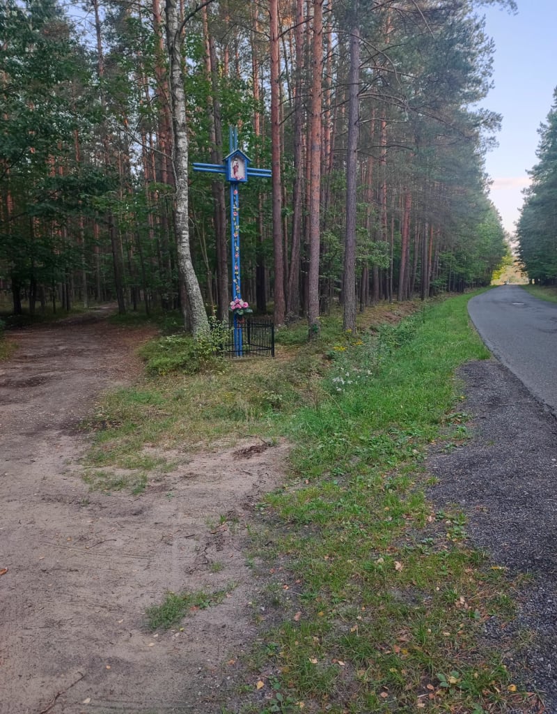 Spacer wśród przyrody - Brzóza Królewska
