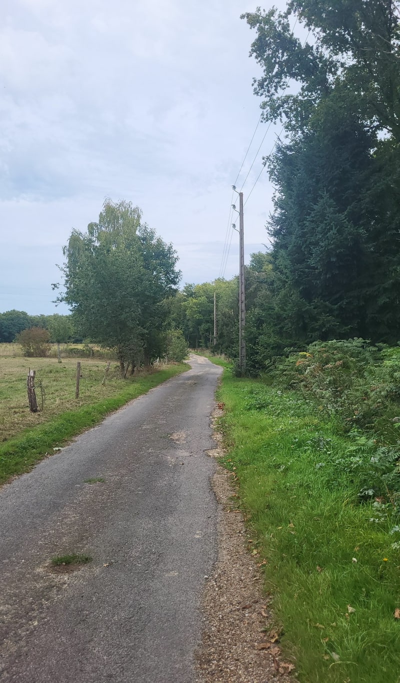 De Tourneville à  Saint Germain - Le Mesnil-Fuguet