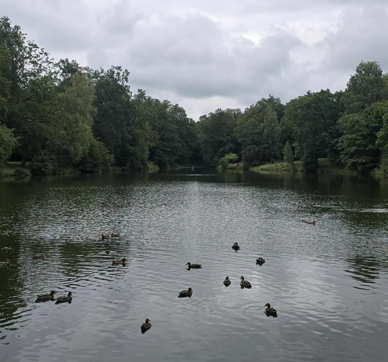 Niedzielna przejazdzka - Łódź