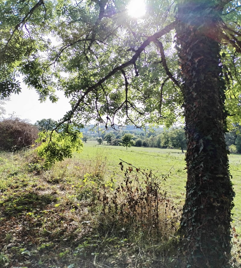 Boucle facile - Le Trioulou