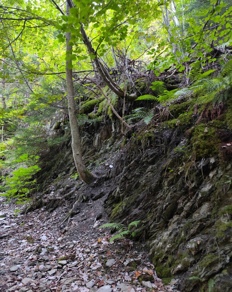 Découverte des bottières et lac du lou - Saint-Pancrace