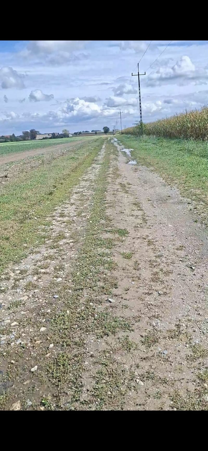 Pola i lasy - Kędzierzyn-Koźle