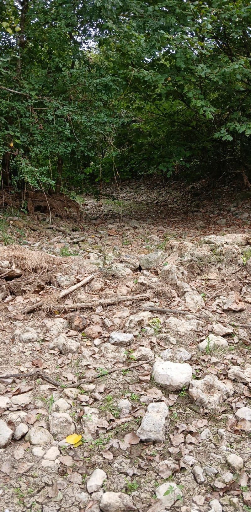 Vallée de la Bouleur - Valence-en-Poitou