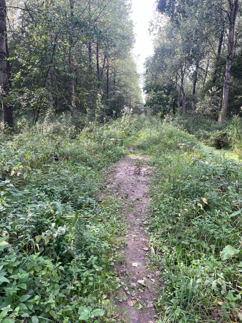 Au bord de l’eau et dans la nature à Montreuil-sur-Mer - Montreuil-sur-Mer
