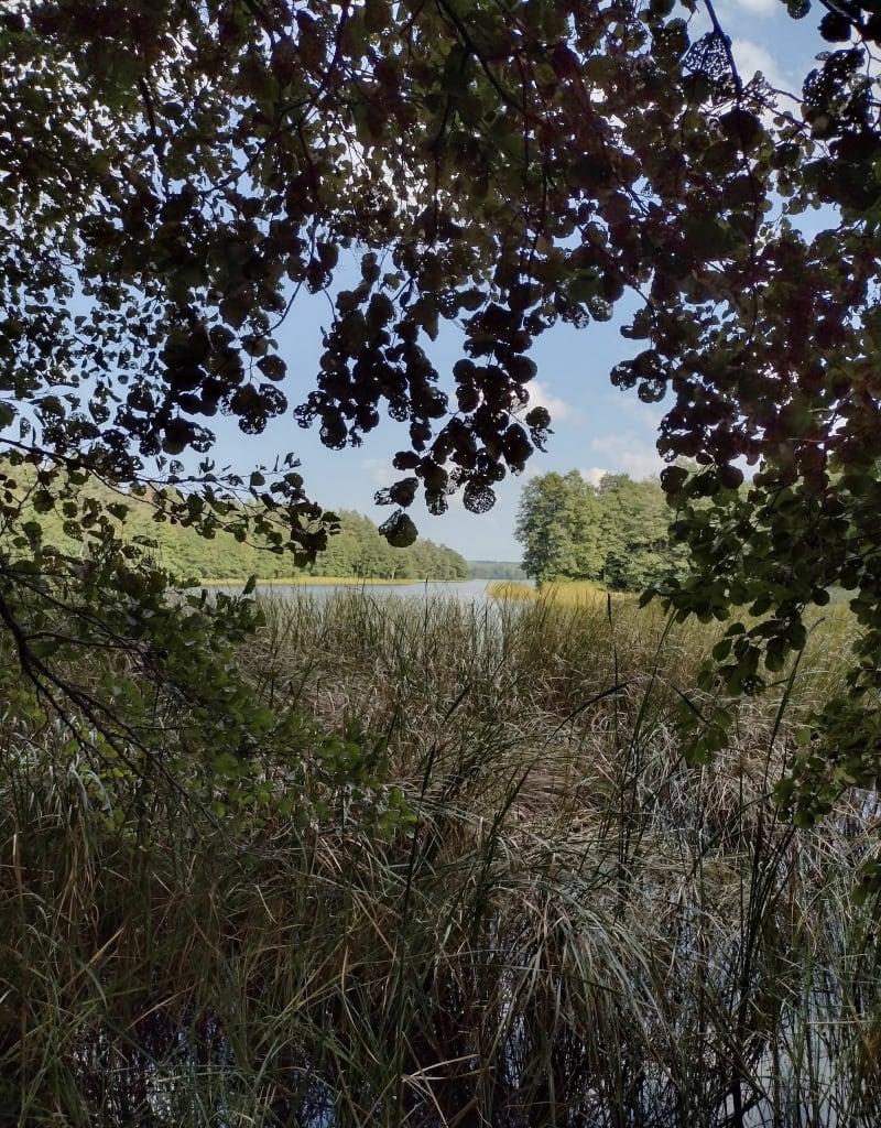 Jezioro białe - Kamienicki Młyn