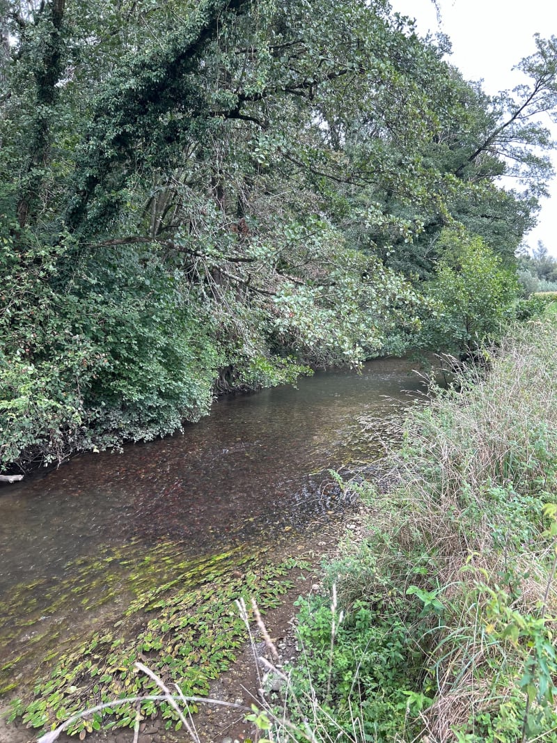 De l’église de Buellas au plan d’eau de Viocet - Buellas