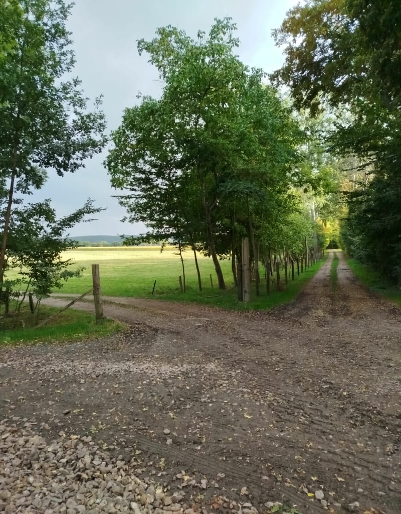 Norville bord de Seine, par Etelan - Norville