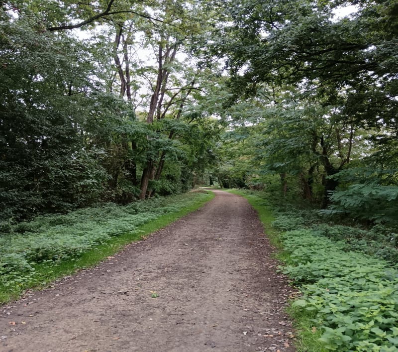Balade entre voie verte et parc de Cossé - Cossé-le-Vivien