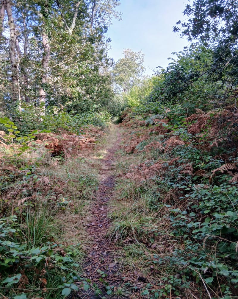 Randonnée GR34, Penn Ar Vir - Lanvéoc