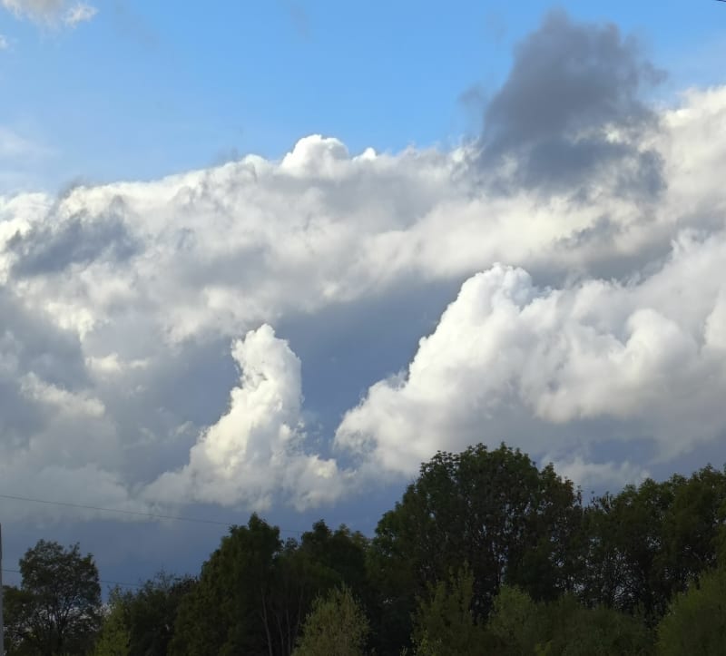 Zakrzów pętelka na 1h - Opole