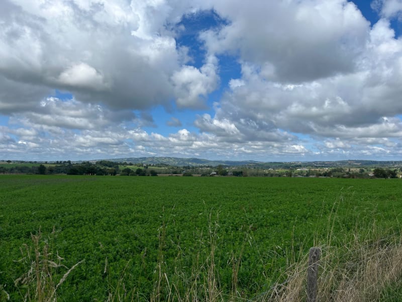 Autour de Rodez - Rodez