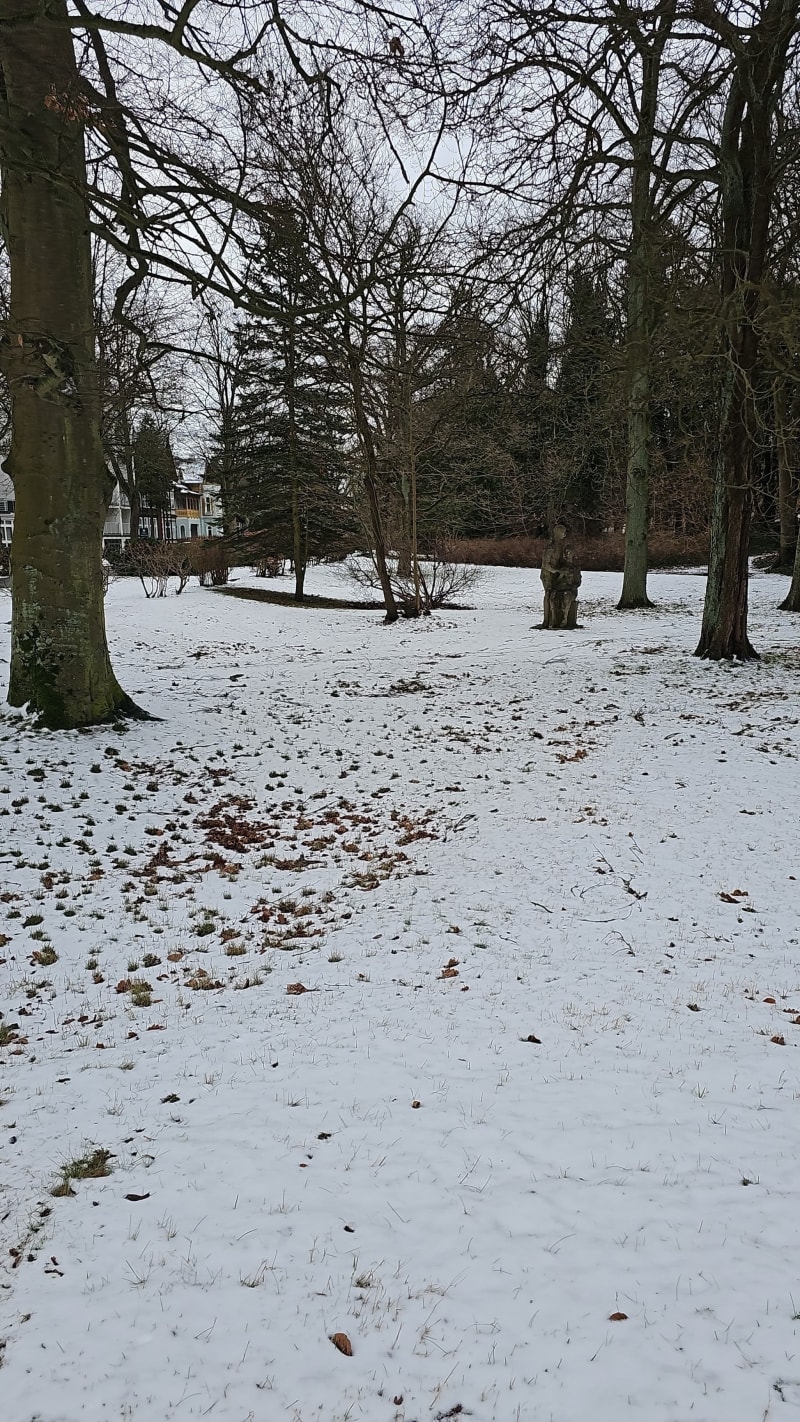 Spacer po okolicy, Lody w Ikei - Bydgoszcz