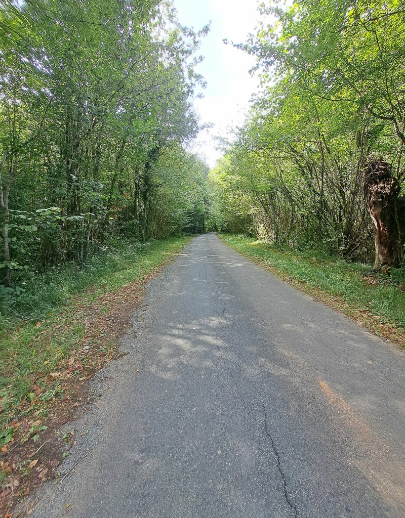 Balade St Vaize - Saint-Vaize