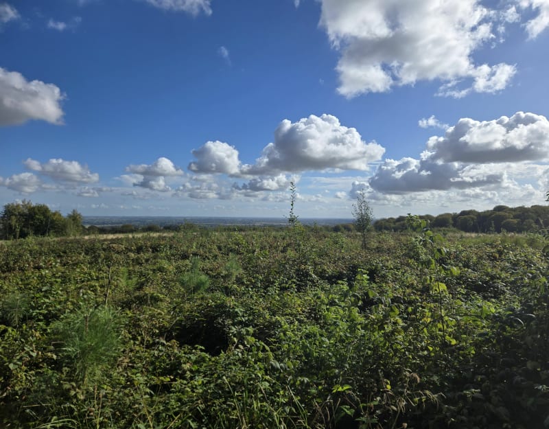 Brêmes - Bois de Guînes - Brêmes