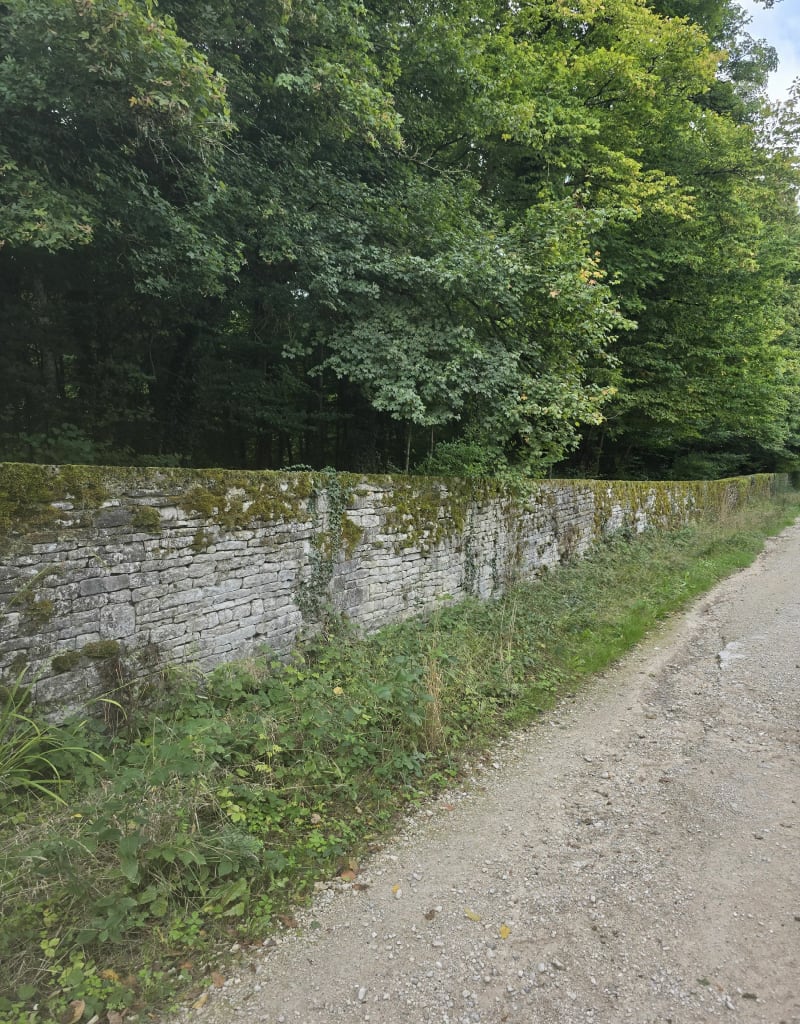 Bois de Bayard - Eurville-Bienville
