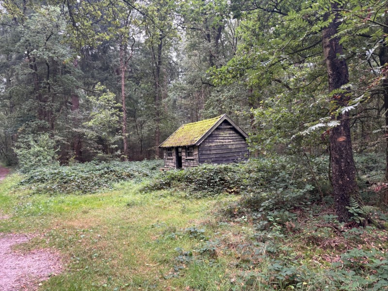 Mooie ochtend wandeling in Hooghalen. - Hooghalen