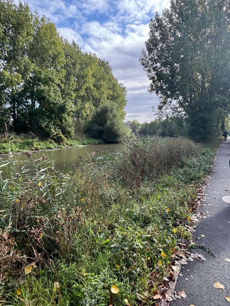 Autour de Laventie, par la Lys et Laventie - Laventie