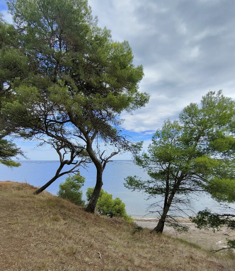 Tour de l'étang de Thau au départ de Sète - Sète