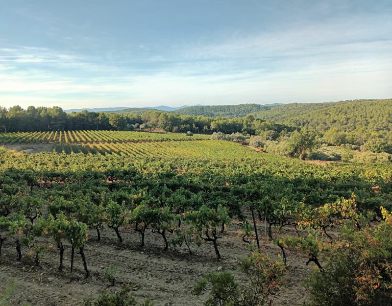 Sortie au Nord de Lorgues - Lorgues