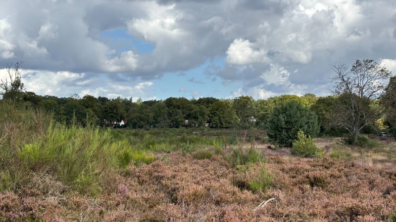 Rond theosofisch centrum - Naarden