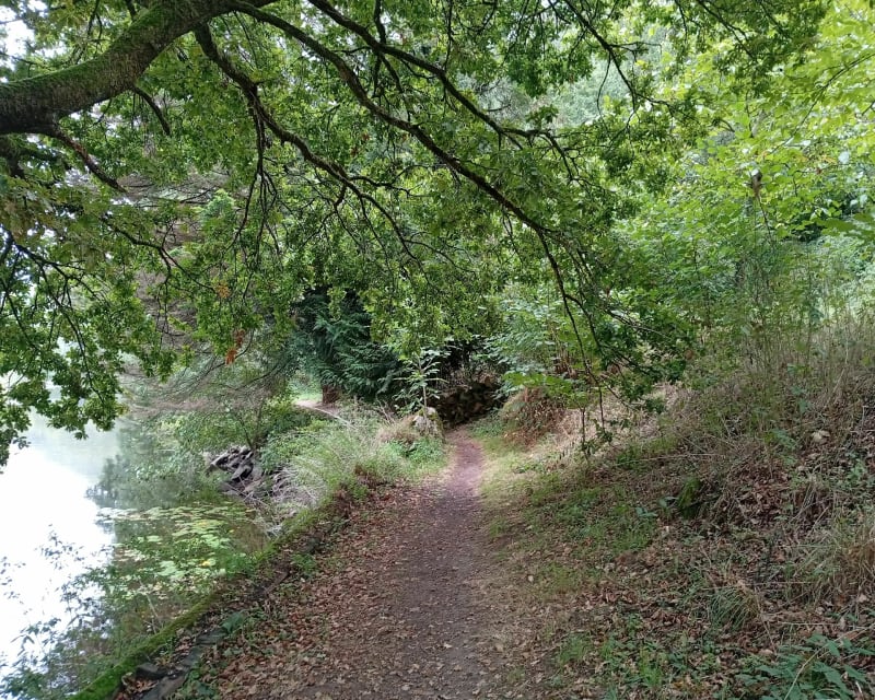 Ville de Maché - Maché