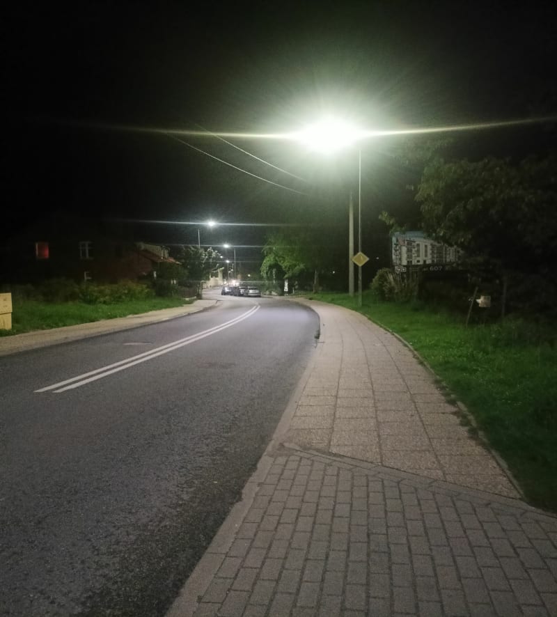 Godzinny spacerek - Malbork