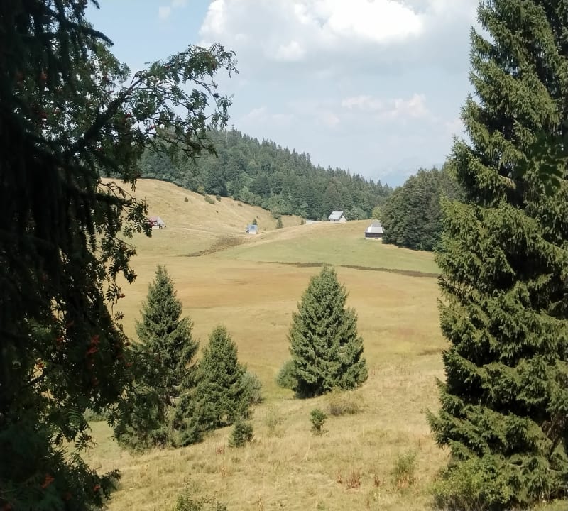 Chalet de la plate par les Creusates et Croix des Bergers - Montcel