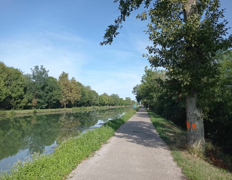 Balade au port Canal de Montech - Montauban