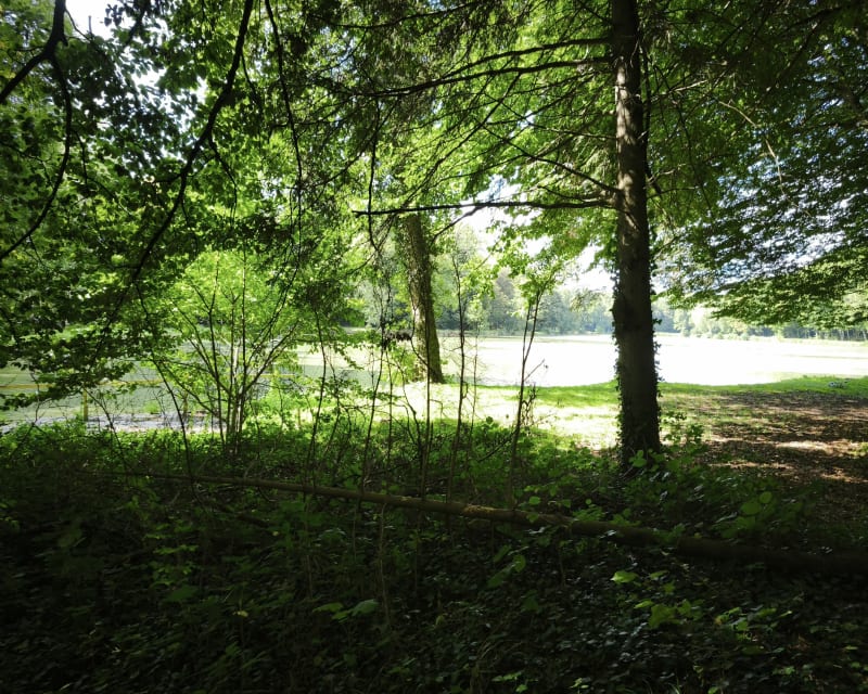 Les étang depuis Frœningen - Frœningen