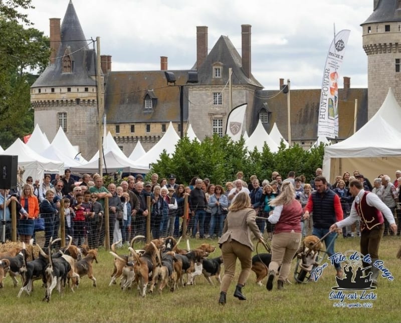 Randonnée de la fête de la Sange - Sully-sur-Loire