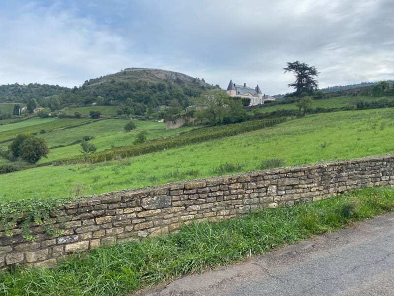 Aux alentours d'Hurigny - Hurigny