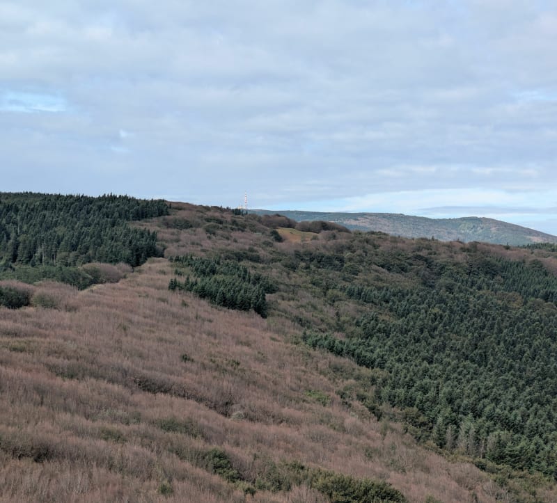 Enduro d'Albine - Albine