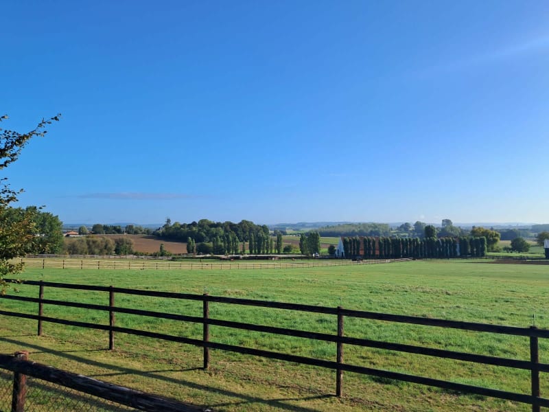 La forêt de Flines - Flines-lès-Mortagne