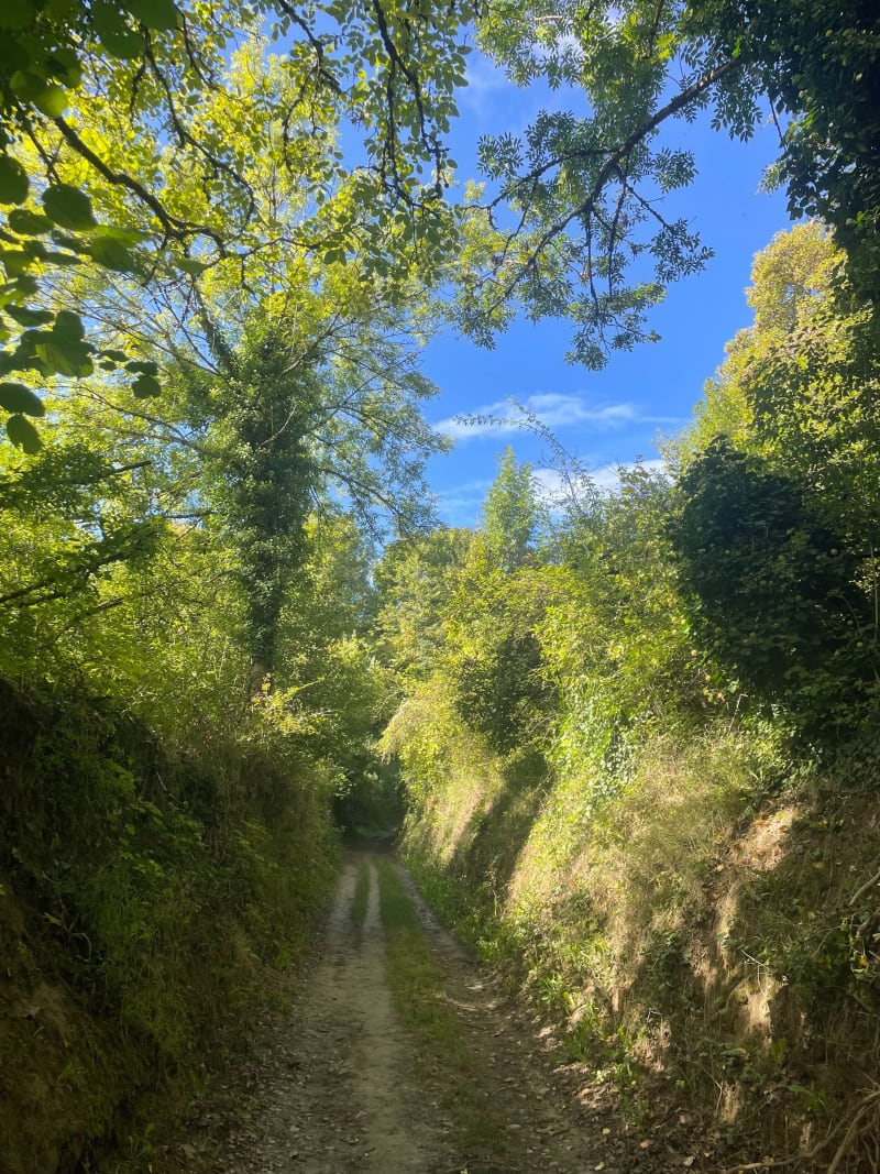 Prendre l’air dans les collines de Riedisheim - Riedisheim