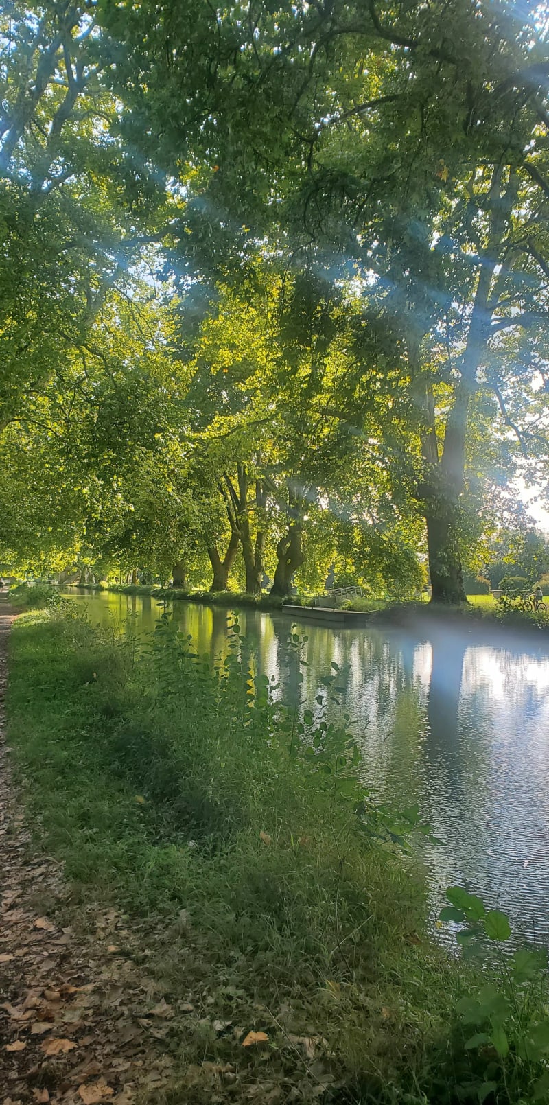 Le long du canal autour de Dole - Dole