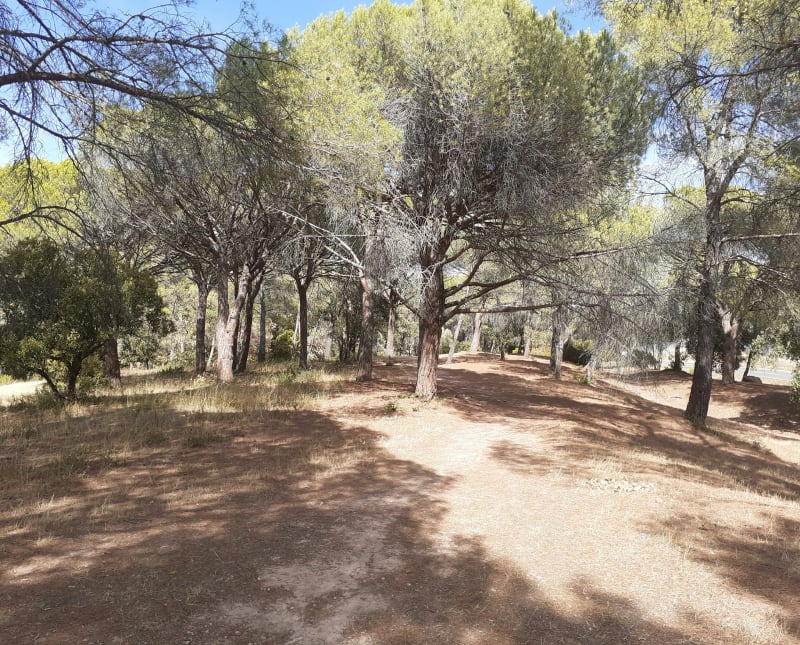 Boucle de la Bouverie, et Palayson - Roquebrune-sur-Argens