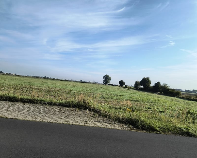 Spacer po mieście - Strzałkowo